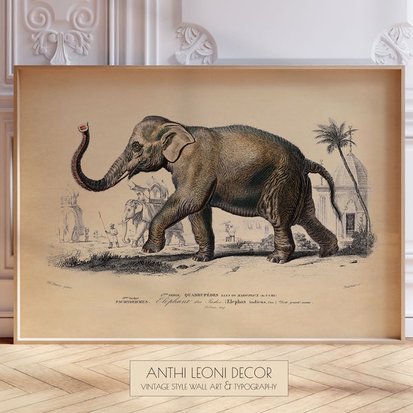 Vintage Elephant Print, Wild Animal Wall Art, Indian Wall Decor, Asiatic Elephas Maximus indicus, PRINTED Landscape Poster Print,