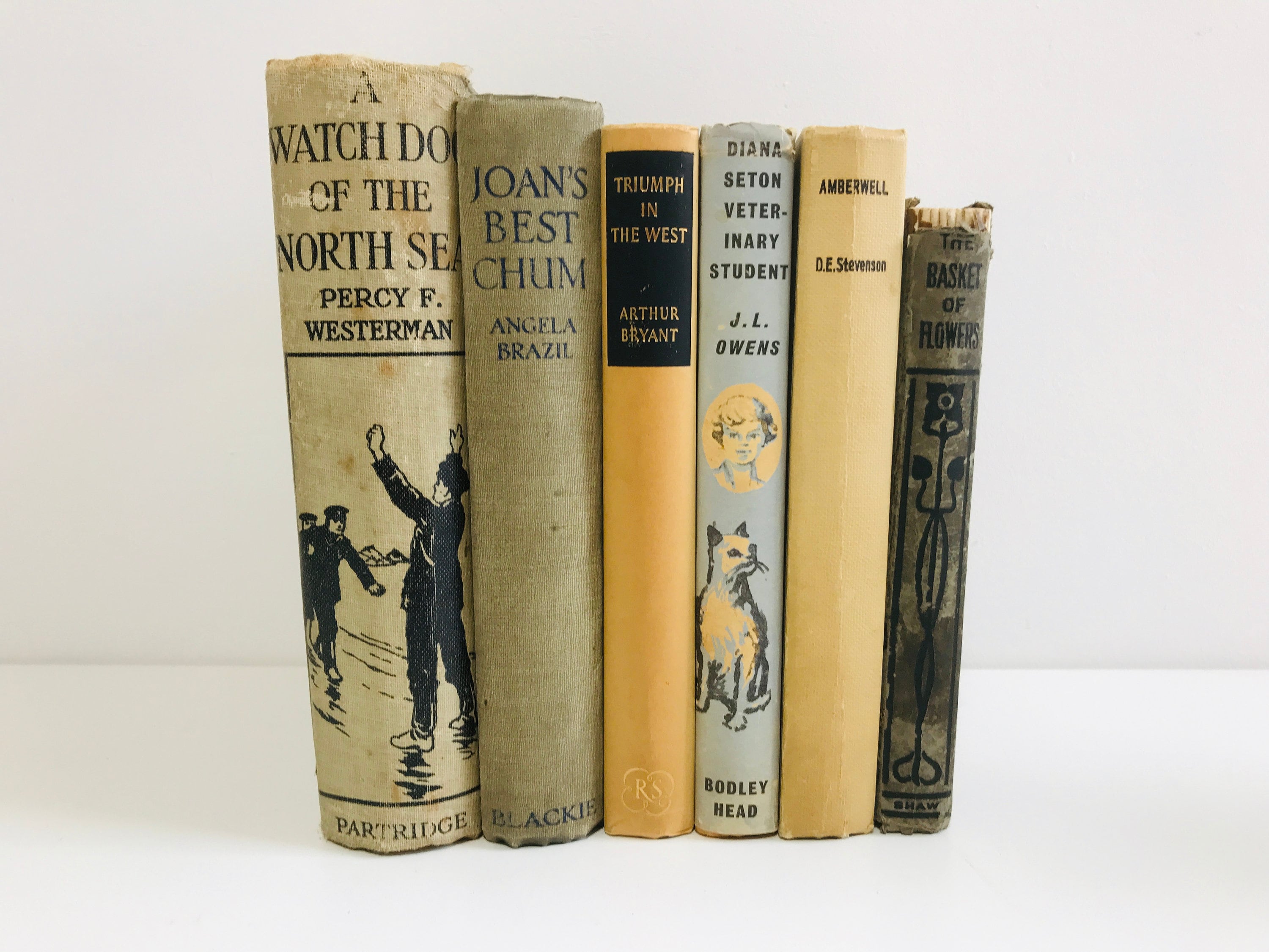 Grey and Neutral Old Books Stack Vintage Books Old