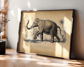 Vintage Elephant Print – Wild Animal Wall Art, Safari Nursery Decor, Elephant Wall Poster, Antique Nature Illustration