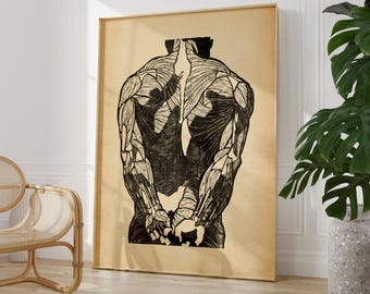 Anatomical Back Muscle Print - Vintage Medical Art