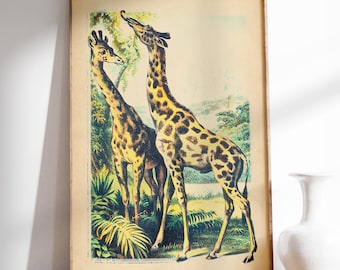 Vintage girafftryck - John Karst Illustration, Safaridjurskonst