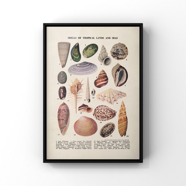 8x10 Vintage Poster - Etsy