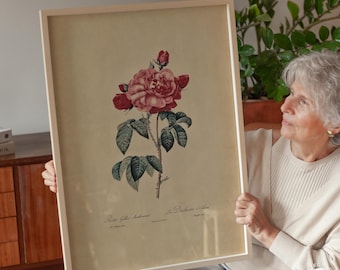 Vintage Redouté Roses Book | an Illustrated Treasury of Redouté