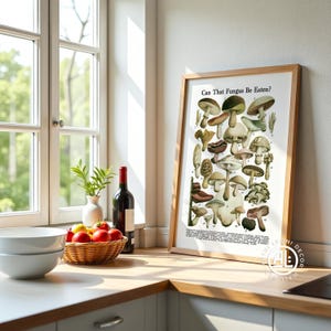 Vintage Mushroom Identification Chart - Botanical Fungi Print, Natural History Wall Art, Cottagecore Decor Framed or Unframed