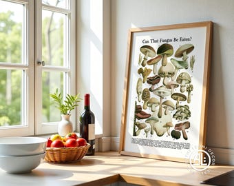 Vintage Mushroom Identification Chart - Botanical Fungi Print, Cottagecore Wall Art