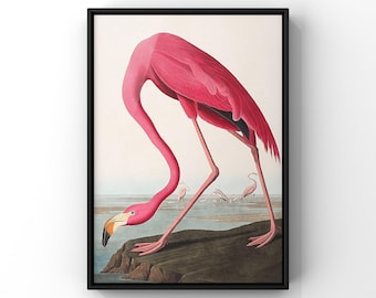 Vintage Flamingo Wall Decor - Pink Bird Fine Art Print