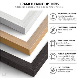 a variety of framed print options, including different types of wood frames, three-frame finishes, and frame profiles.