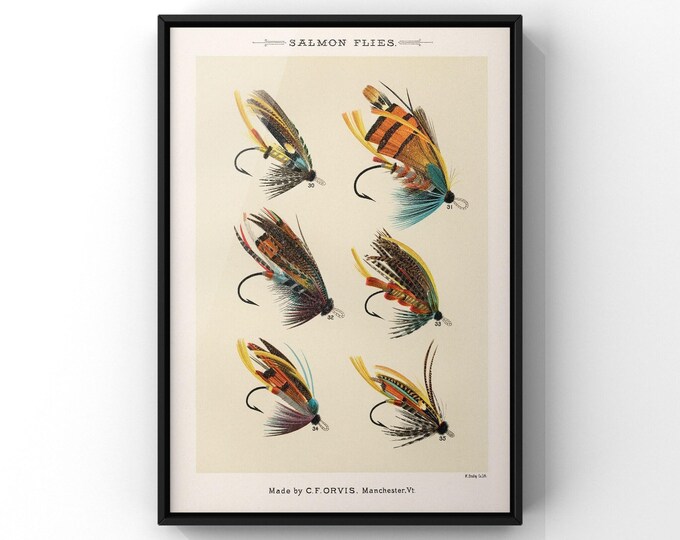 Vintage Salmon Flies Collection by Mary Orvis Marbury, 18th Century Antique History of the Earth Book Plate | PRINTED
