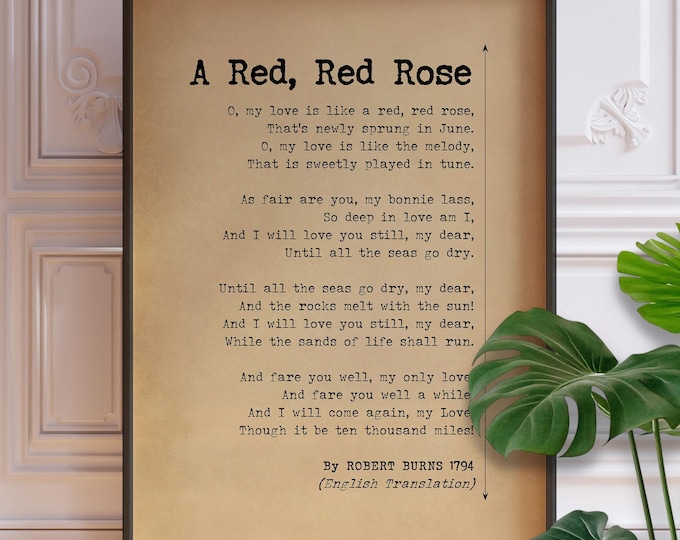Robert Burns Poem Print - A Red, Red Rose, Scottish Love Poetry, English Version