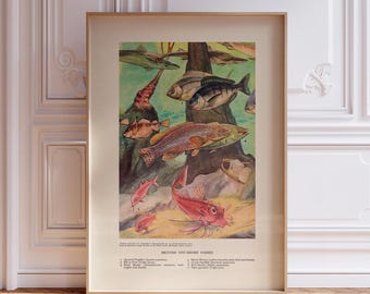 British Offshore Fishes of the Ocean – Marine Fish Print, Coastal Wall Art, Sea Life Illustration Poster, Nautical Decor