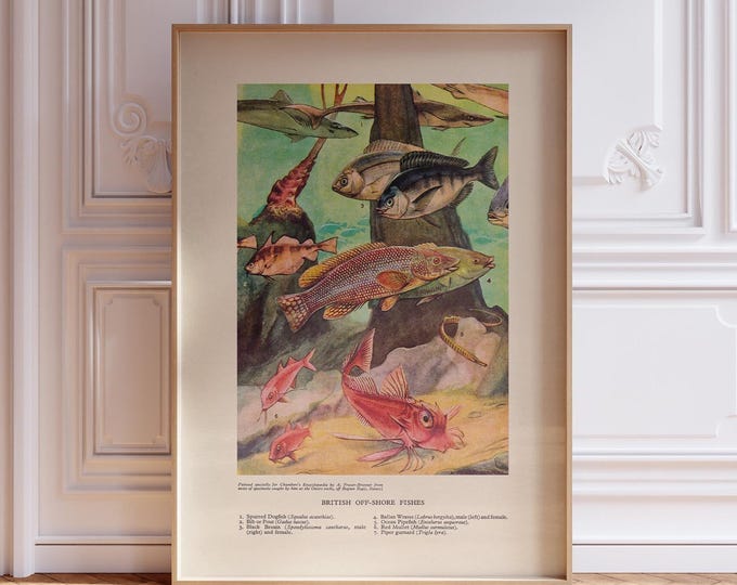 British Offshore Fishes of the Ocean – Marine Fish Print, Coastal Wall Art, Sea Life Illustration Poster, Nautical Decor