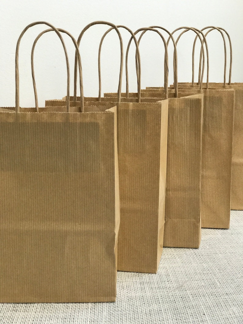 Brown Gift Bags Small Brown Bags Twisted Handle Bags 5 Craft Bags Kraft Gift Bags Brown Raffia Bags Kraft Bags 200mm x 140mm