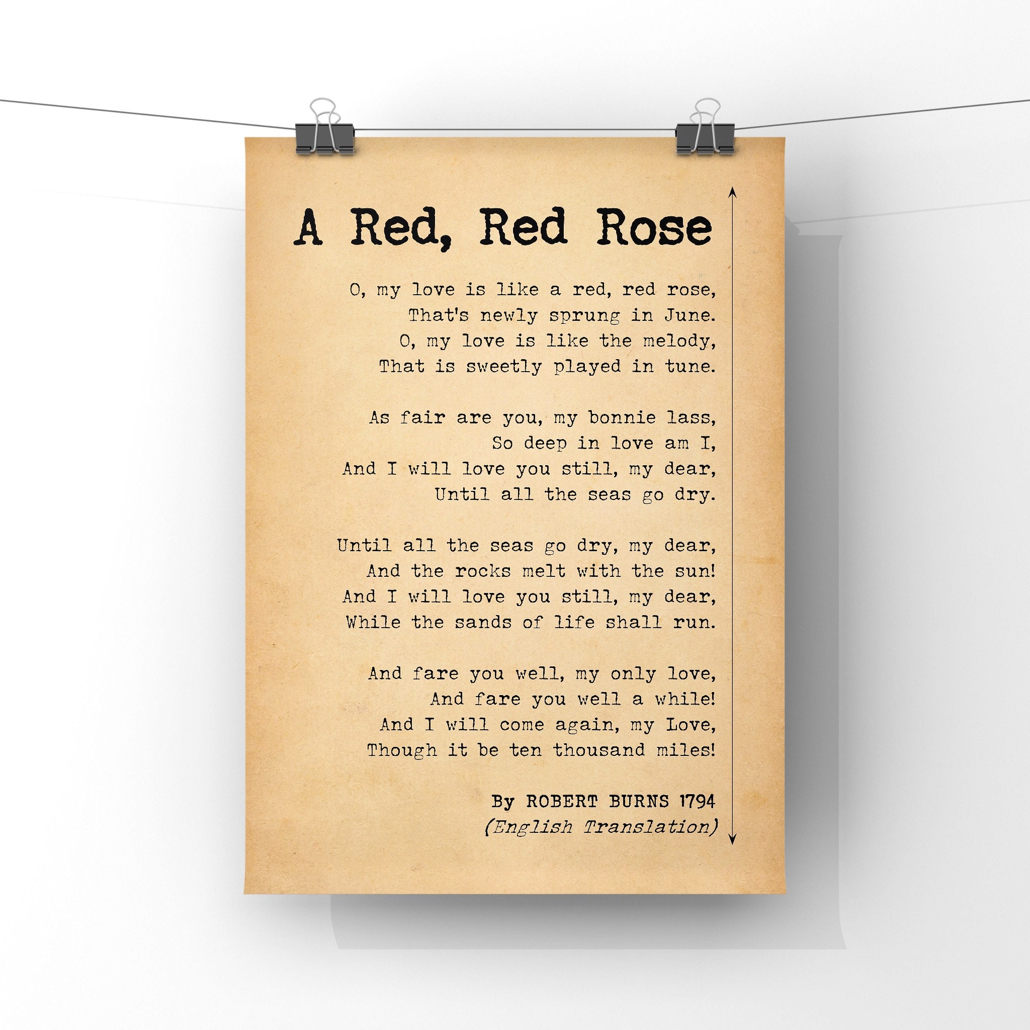 burns red red rose burns red red rose