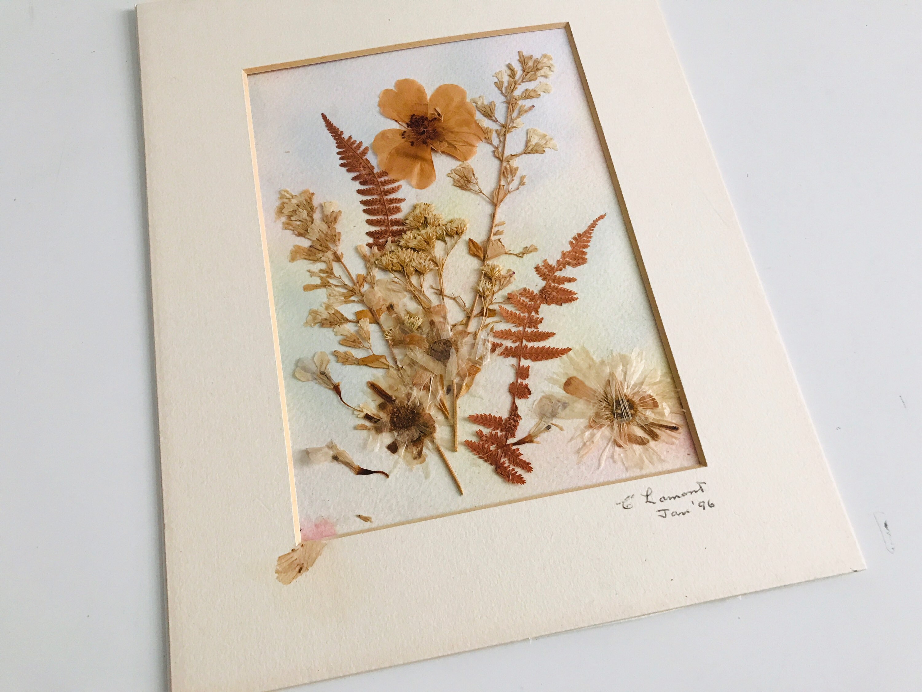 Mounted Leaf And Flower Pressed Art Vintage Mounted Square Wall Hanging Decor Dried Flowers Wall Art