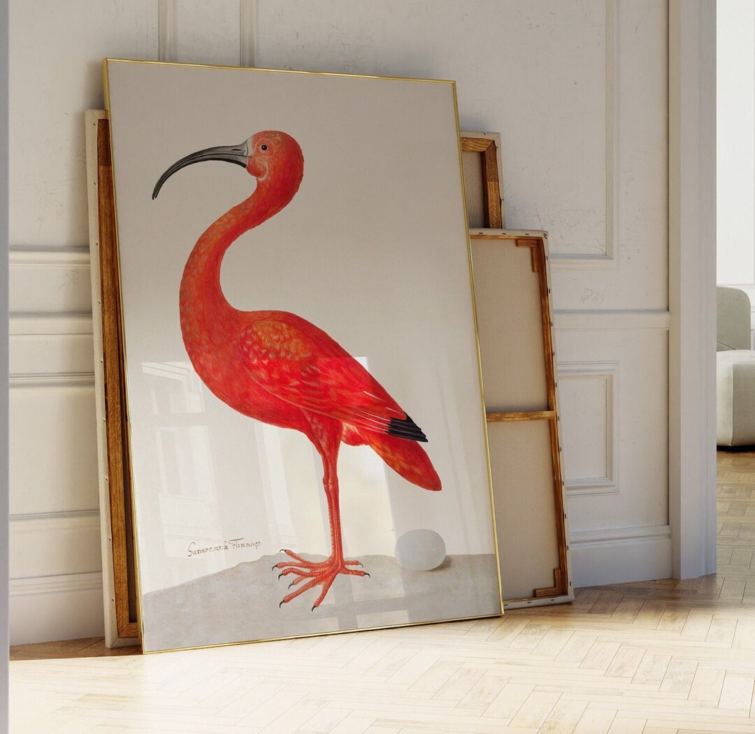 Wandbild 'Scarlet Ibis' – Gerahmter Kunstdruck 12x16 Zoll (30x41 Cm) – Stilvolle Deko Für Wohnzimmer, Flur Oder Büro