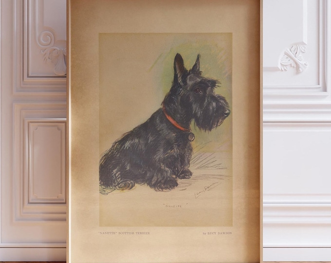 Scottish Terrier Print by Lucy Dawson, - Vintage Dog Painting Wall Art, Framed or Unframed
