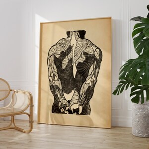 Menselijke anatomie mannelijke anatomische studie rugspieren Wall Art Print | Cadeau voor student medische anatomie spierstructuur illustratie | GEDRUKT
