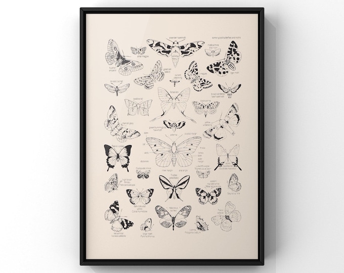 Vintage Butterfly Outline Illustration Poster Print, Vintage Butterflies Line Art | PRINTED