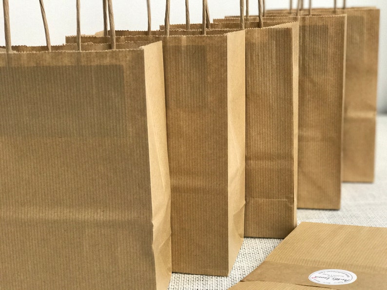 Brown Gift Bags Small Brown Bags Twisted Handle Bags 5 Craft Bags Kraft Gift Bags Brown Raffia Bags Kraft Bags 200mm x 140mm