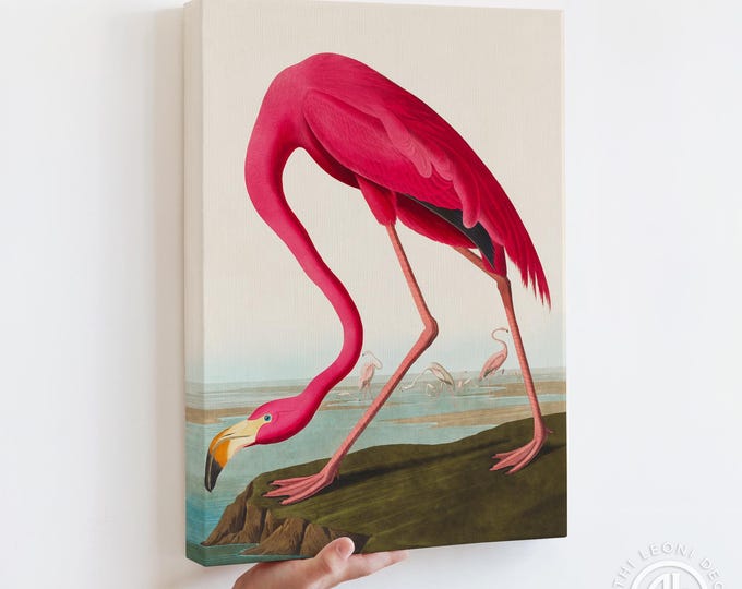 James Audubon Flamingo Print - Vintage Coastal Bird Wall Art