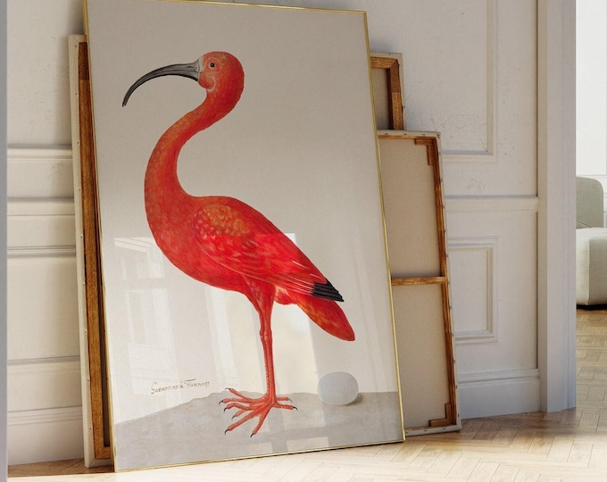 Scarlet Ibis Art Print - Red Bird with Egg by Maria Sibylla Merian Poster