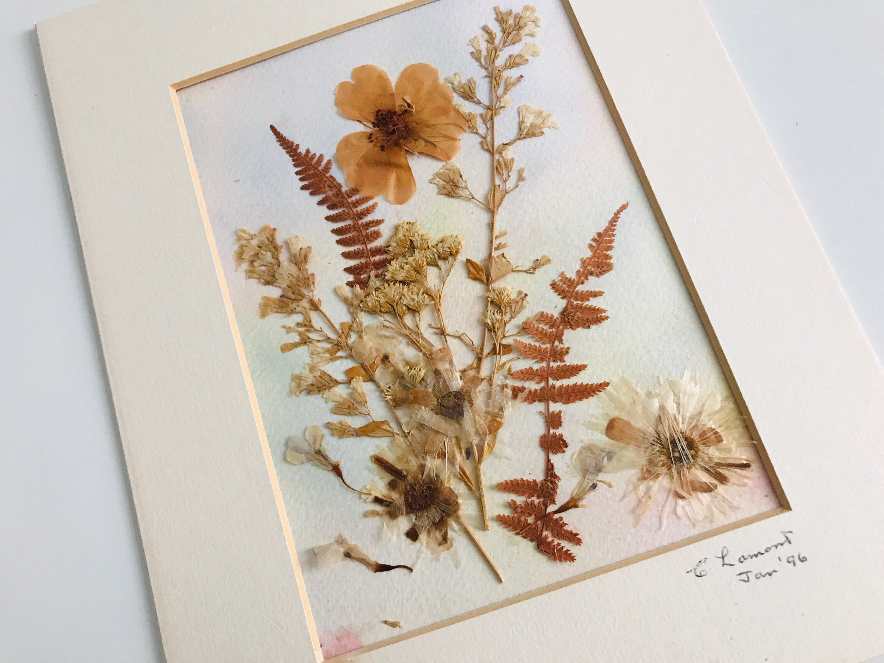 View Dried Pressed Leaves Art Pics