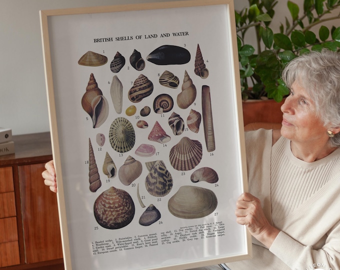 Vintage British Shells Poster - Coastal Nautical Wall Art Print, Framed or Unframed