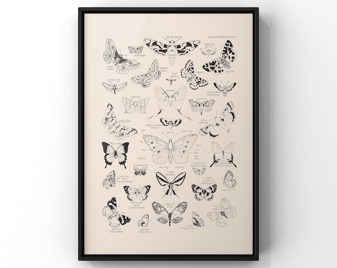 Vintage Butterfly Outline Illustration Poster Print, Vintage Butterflies Line Art | PRINTED