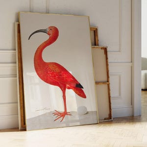 Op de afbeelding: Een ingelijste verticale wandkunstprint met een levendige rode ibis die op een lichtgrijs oppervlak naast een enkel wit ei staat. De vogel heeft een lange, gebogen zwarte snavel, felrood verenkleed en zwart getipte vleugels.