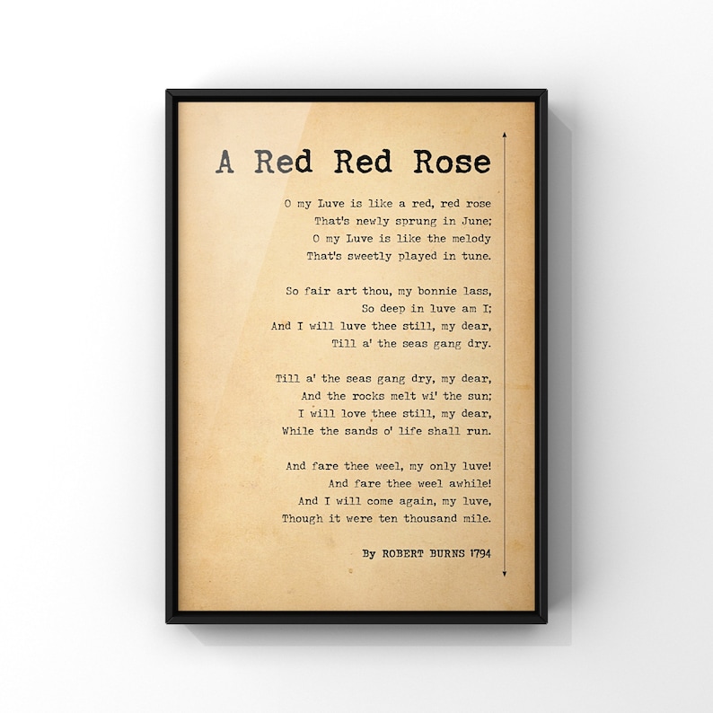 A Red Red Rose Poem by Robert Burns Poster Print Original Etsy