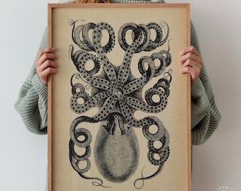 Impresión vintage de pulpo - Póster de arte náutico sepia