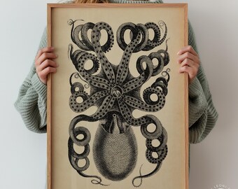 Unusual 1890s Vintage Freak Poster Reprint - Musee Des Horreurs Octopus Man - 18x24