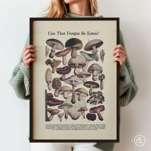 Vintage Mushroom Identification Chart Print - Botanical Foraging Wall Art, Rustic Kitchen Poster, Framed or Unframed | M-EC-W-AL