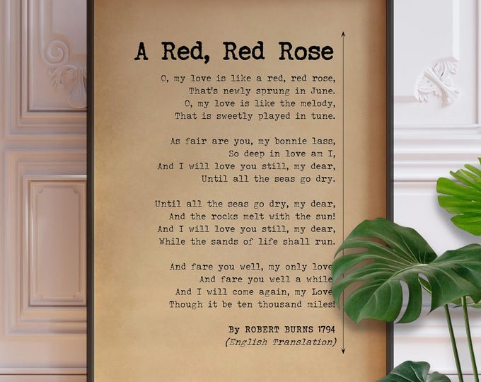 Robert Burns Poem Print - A Red, Red Rose, Scottish Love Poetry, English Version