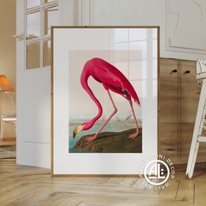 Impresión de flamenco rosa de James John Audubon / Arte mural de pájaros vibrantes y coloridos / Póster de pájaros de estilo vintage / Decoración de sala de estar / IMPRESO