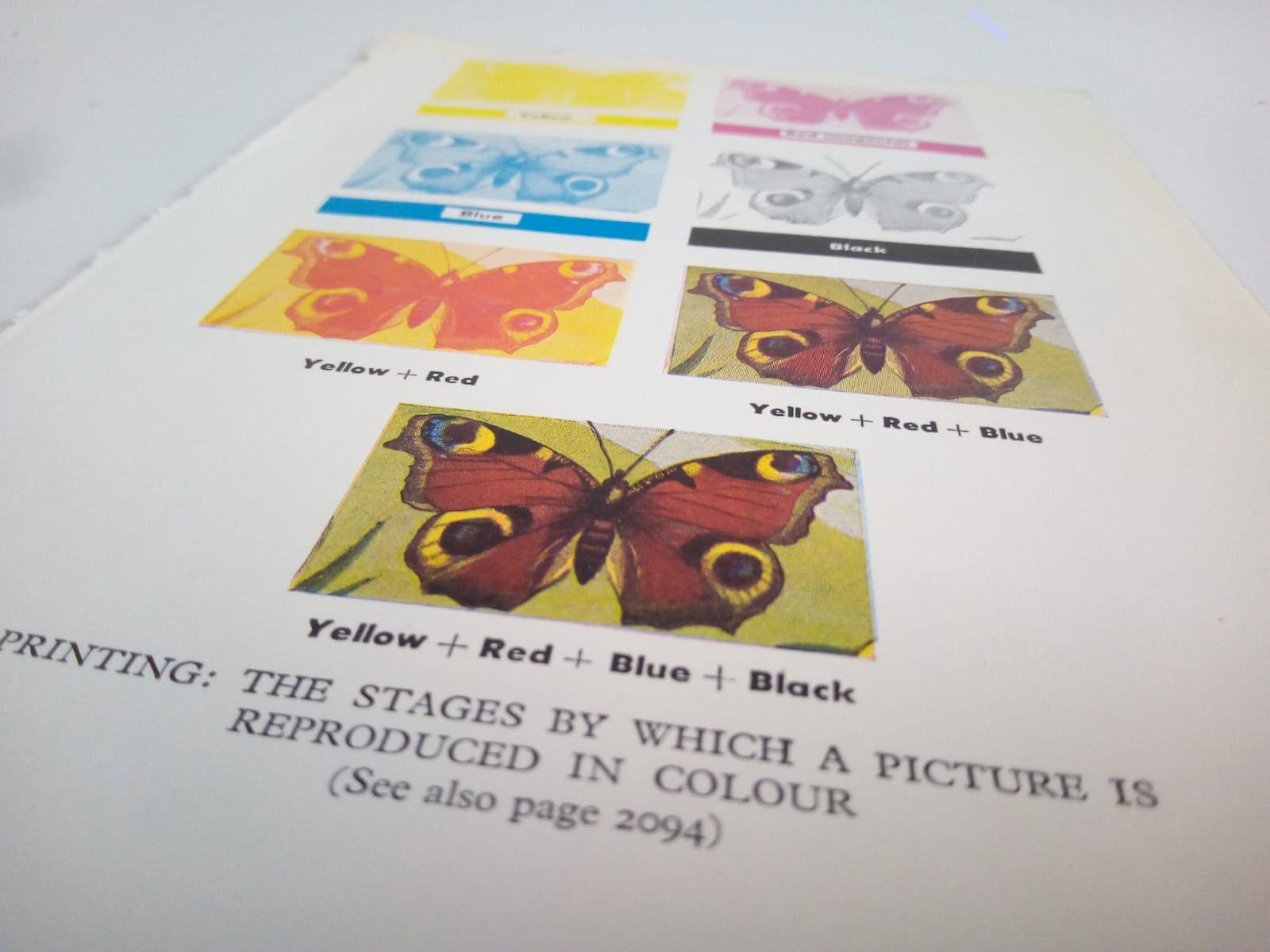 5x8 printer paper
