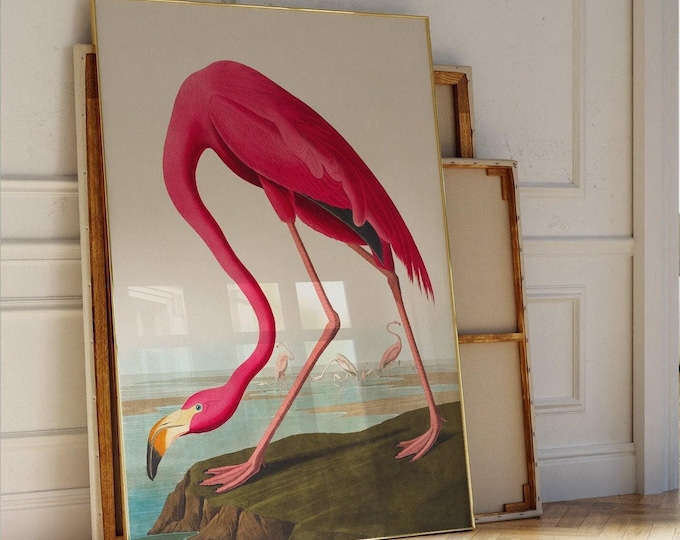Pink Flamingo Print by James John Audubon | Bold Vibrant Colourful Bird Wall Art | Vintage Style Birds Poster | Living Room Decor | PRINTED
