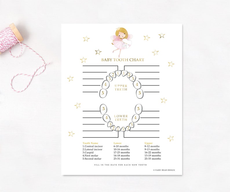 Baby Teeth Chart For Baby Book