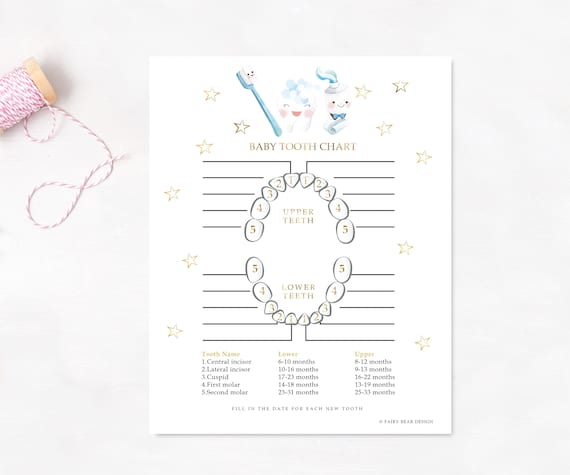 PRINTABLE - Baby Tooth Chart - Bubble Tooth Fairy Chart - Baby Keepsake -  Baby Tooth - Tooth Records - Tooth Chart