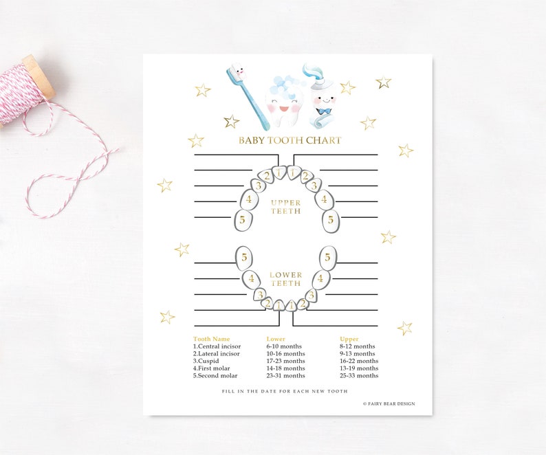 PRINTABLE - Child Enamel Chart - Bubble Enamel Fairy Chart - Youngster Keepsake - Little one Teeth - Teeth Documents - Teeth Chart photograph regarding Baby Tooth Chart Printable named PRINTABLE - Little one Enamel Chart - Bubble Enamel Fairy Chart - Youngster Keepsake - Youngster Enamel - Teeth Documents - Enamel Chart