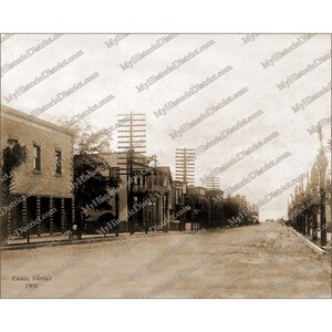 Eustis Flórida FL. 1908 Florida 8x10 História Foto Histórica Vintage Foto Antiga Decoração de Parede Reimpressão FRETE GRÁTIS!
