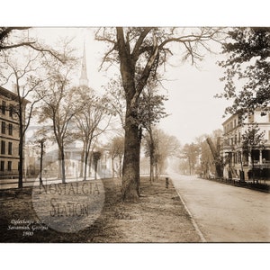 Savannah, Géorgie, 1900 Oglethorpe Avenue, photo vintage historique antique, décoration murale murale d'art réimpression LIVRAISON GRATUITE !