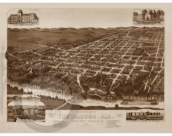 Tuscaloosa AL Alabama 1887 Birds Eye Map Historisches Foto Wandkunst Wanddekor Roll Tide Reprint KOSTENLOSER VERSAND!