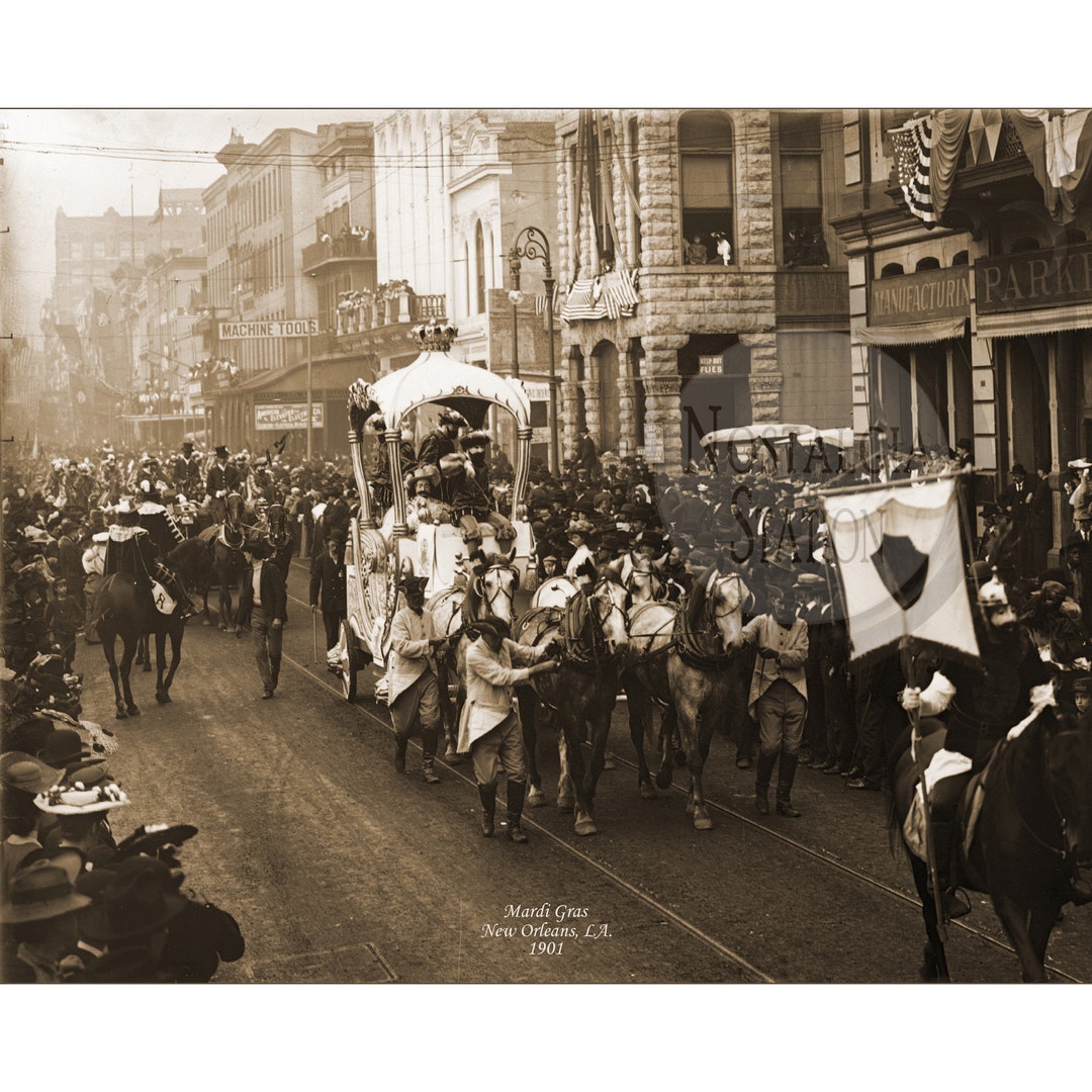 【中古】 Mardi Gras in New Orleans MardiGrasinNewOrleans xhome-header1.jpg.pagespeed.ic