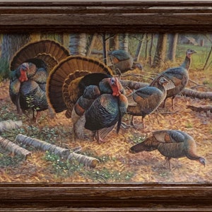 Spring Strut By Cynthie Fisher Turkey Art Print-Framed 14.5 x 10