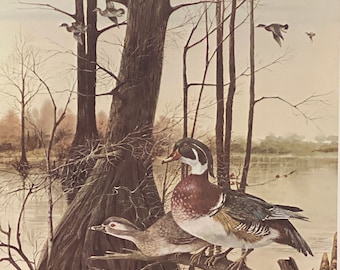 Woodies at Walnut Log by R.J. McDonald S/N with cert 16 x 19.75