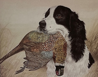 Carl Melichar Springer Spaniel With Pheasant S/N Art Print