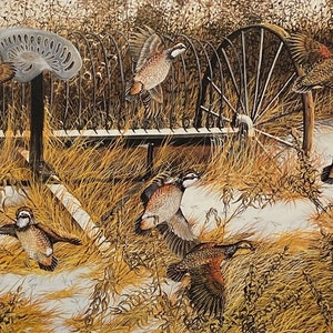 Donald Blakney Bob White Quail Farm Art Print 10 x 7