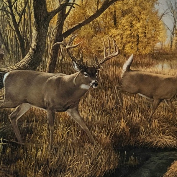 Ron Van Guilder Old Mossy Horn S/N Deer Buck Art Print 27 x 15