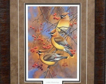 Cynthie Fisher Cedar Waxwings-Open Edition Framed Print 17 x 21